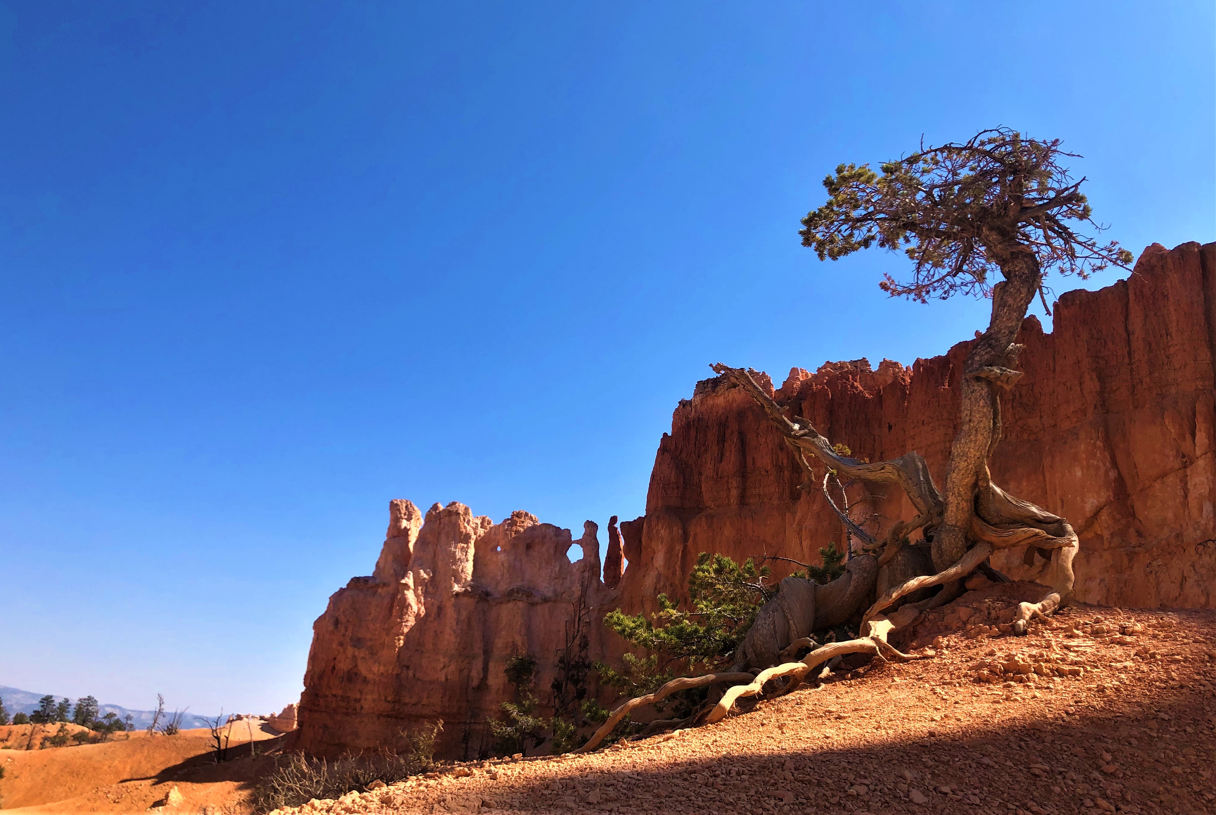 Bryce Canyon NP
